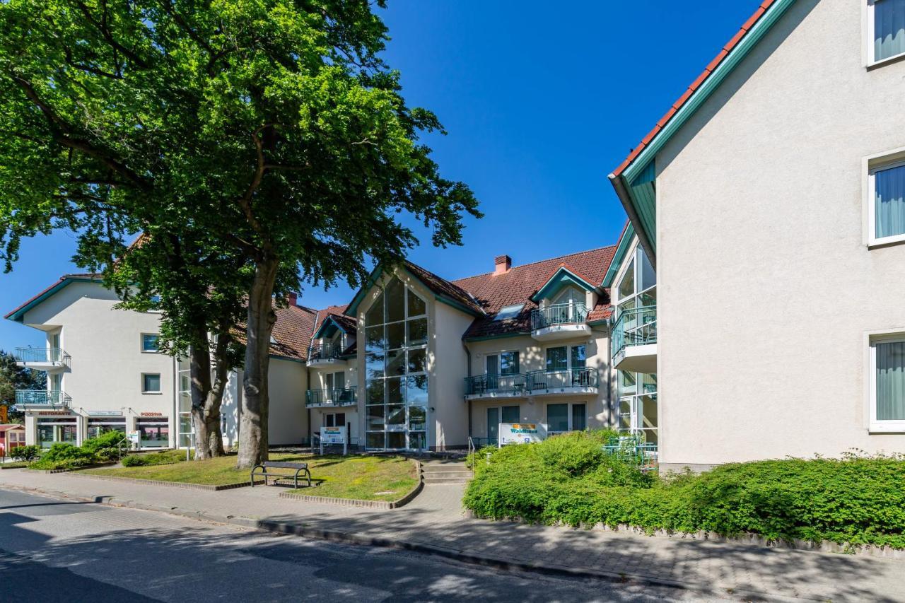 "Ab Zum Strand" Ferienwohnung Mit Balkon 泽姆平 外观 照片