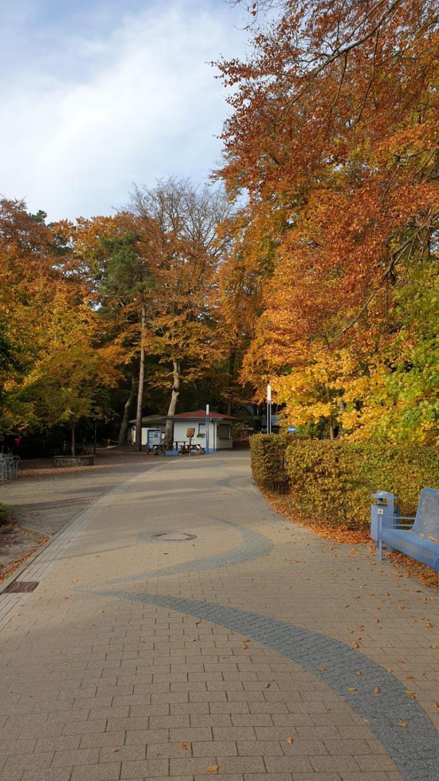 "Ab Zum Strand" Ferienwohnung Mit Balkon 泽姆平 外观 照片
